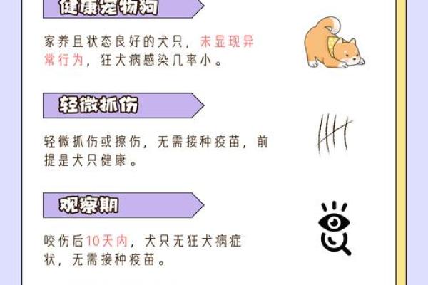 梦见小狗要咬自己什么预兆 梦见小狗要咬自己什么预兆