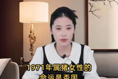 2007年属猪女一生命运_2007年属猪女一生命运解析运势婚姻与事业全揭秘