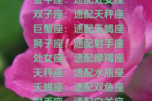 速配星座是什么意思,今日运势速配星座是什么意思