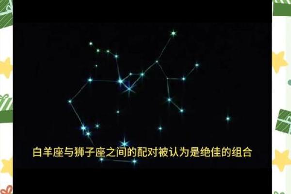 狮子座是什么象星座