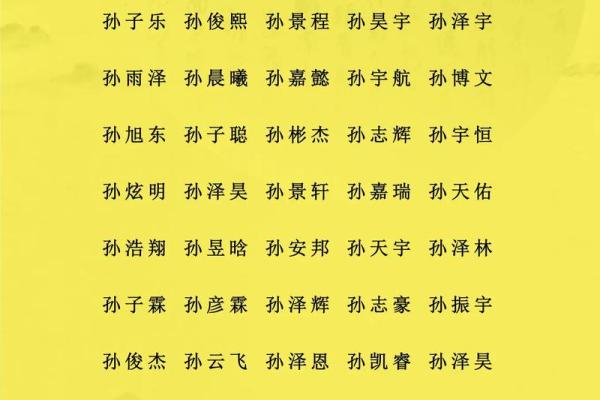 晚上7点出生的属狗男孩怎么取名，用什么字好姓名