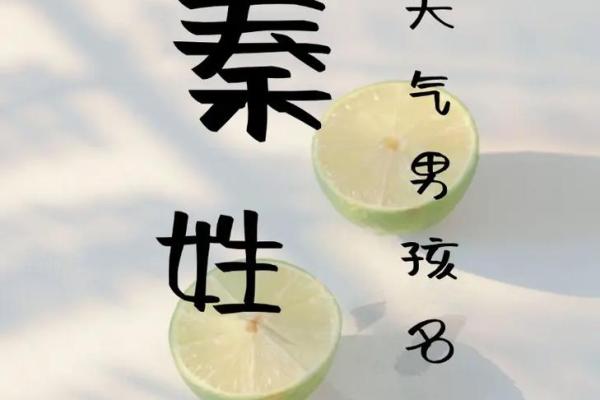 秦姓男孩名字大全-秦姓男孩起名字大全-秦姓名字大全姓名 秦姓男孩名字大全-秦姓男孩起名字大全-秦姓名字大全姓名